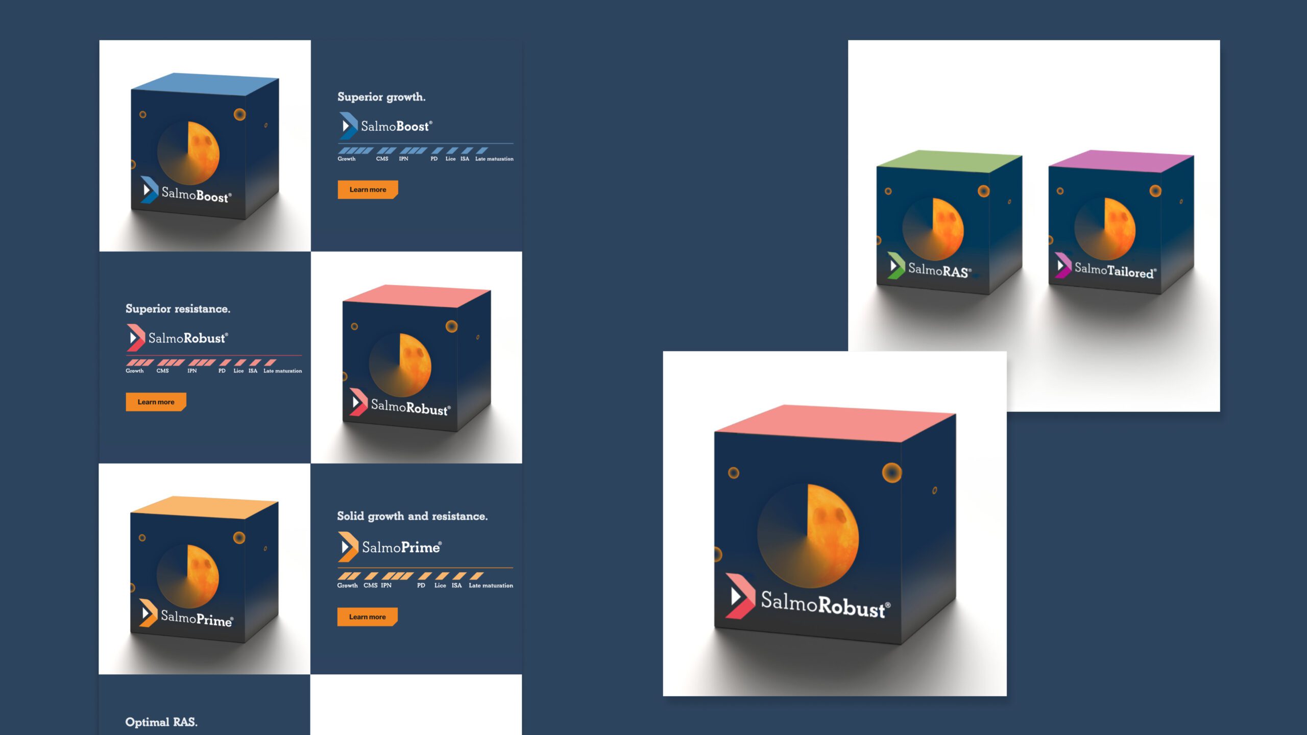 Mockup av produktpakker for Benchmark Genetics