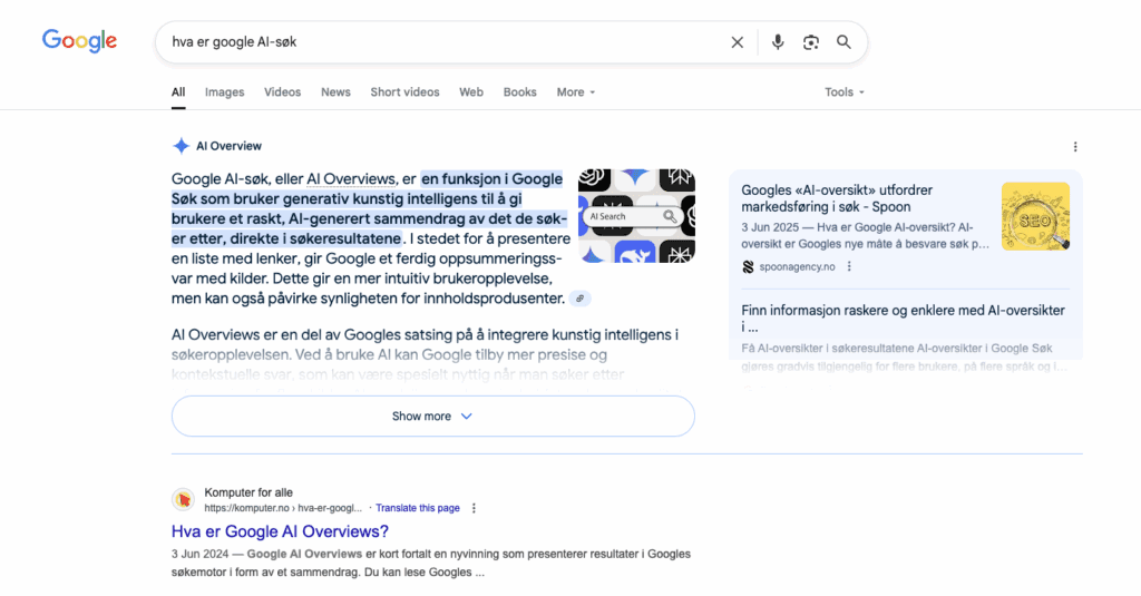 Skjermdump av Googles AI-sammendrag (AIO)