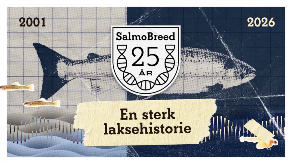 Skjermdump fra intro til jubileumsfilm for SalmoBreed