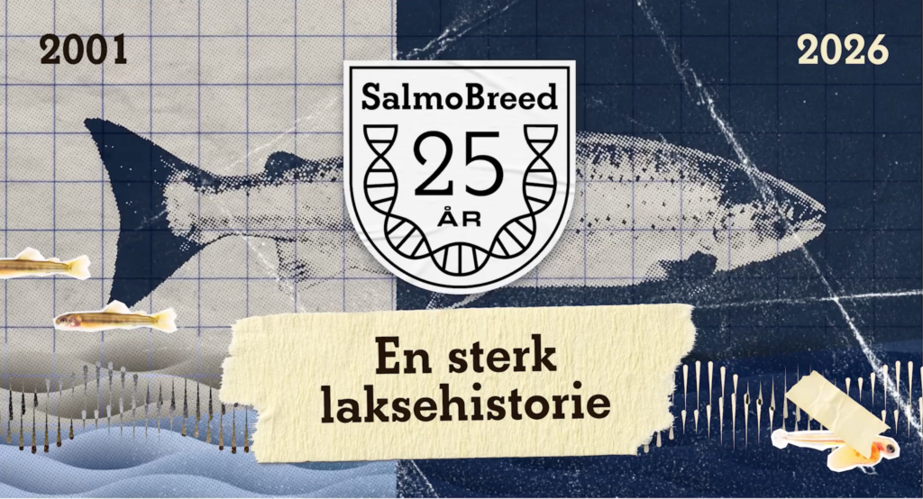 Skjermdump fra intro til jubileumsfilm for SalmoBreed