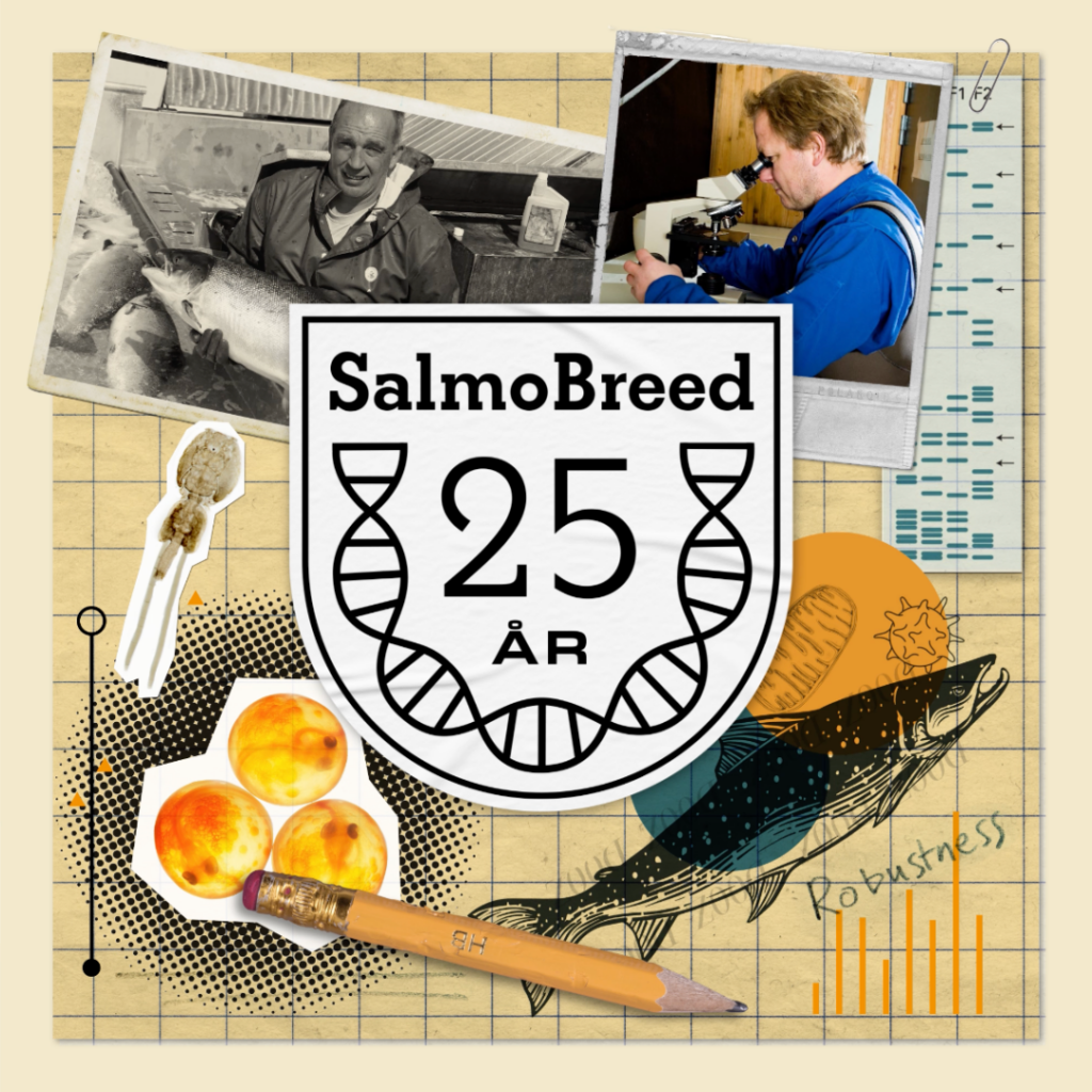 Bilde som viser emblem og grafisk konsept for SalmoBreeds 25-årsjubileum