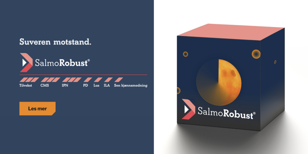Bilde som viser 3D-visualisert produkteske og egenskapsmatrise for SalmoRobust fra Benchmark Genetics